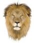 Electric Lion