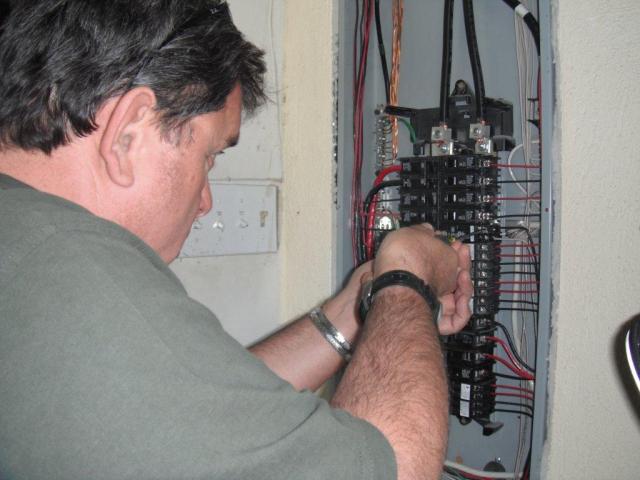 The Electric Lion